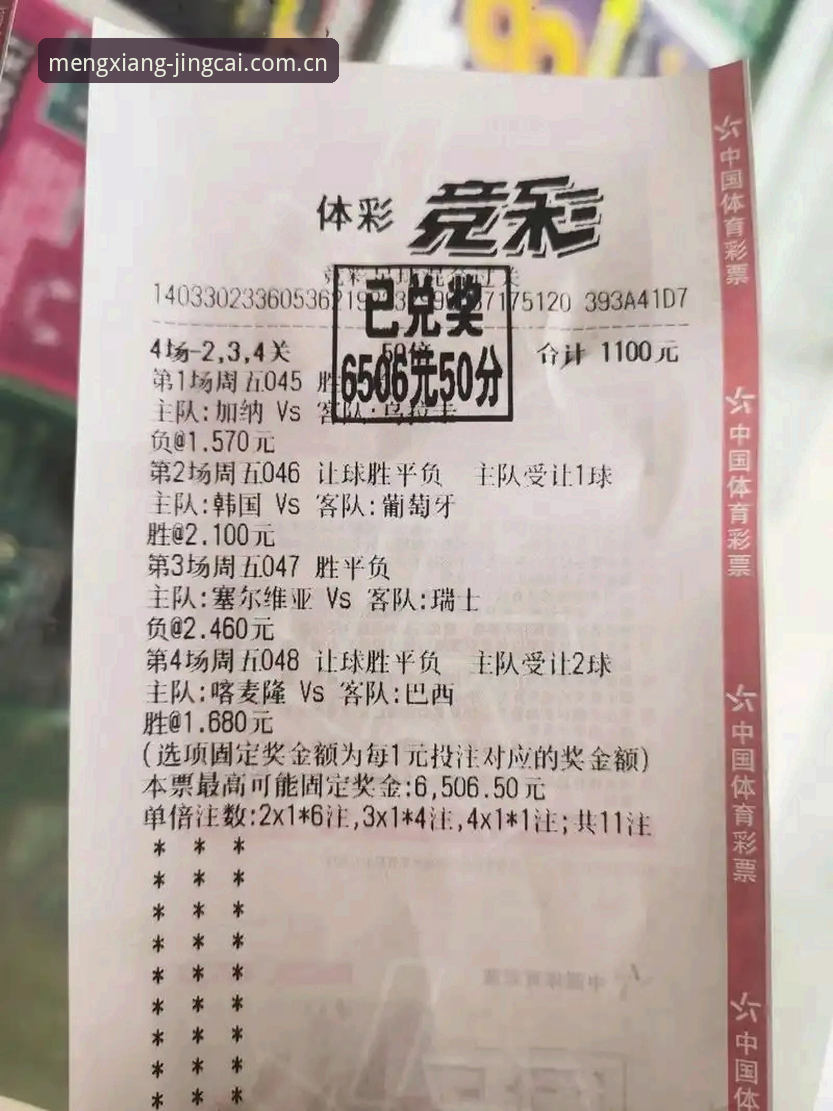 从新手到老手：我的竞猜世界杯使用教程真实体验分享