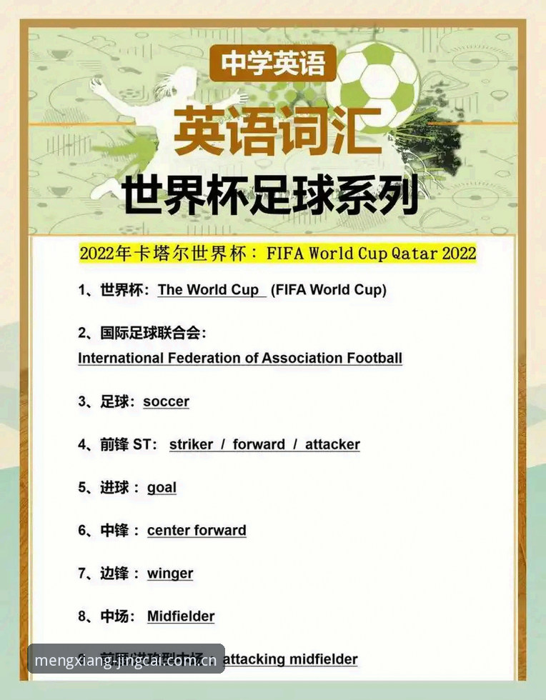 资深玩家揭秘：世界杯赔率查询对比实战心得，助你玩转2026竞猜